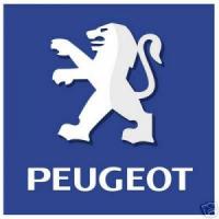 Peugeot регистрира 3,7% ръст на продажбите на автомобили през 2007 година