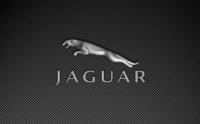 Jaguar приключи 2008 г. с повече от 65 000 продадени автомобила