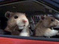 Реклама на  KIA Soul. Видео