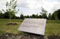 Volkswagen има брезова горичка в София