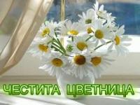 Цветница идва с код "жълто" за цялата страна