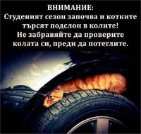 Погледнахте ли за котка, преди да потеглите с колата?
