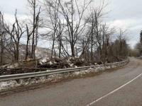 Промени в движението във връзка с 3 март