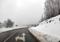 Утре движението по път I-8 Пловдив – Садово ще се ограничава поетапно за изсичане на сухи дървета