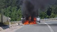 Автомобили изгоряха при пожар в Перник